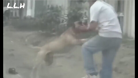 Pitbull worst attacks!!