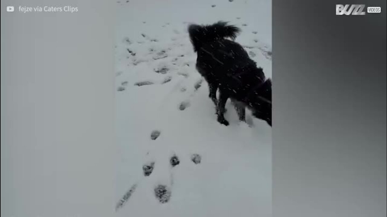 Elle découvre la neige pour la première fois