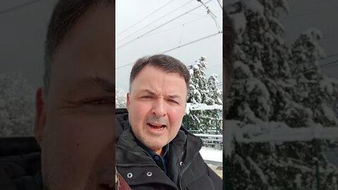 Victory is Imminent! ZZZZZ!