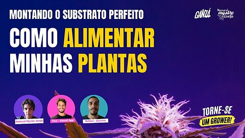 Montando o substrato perfeito - Como alimentar Minhas plantas