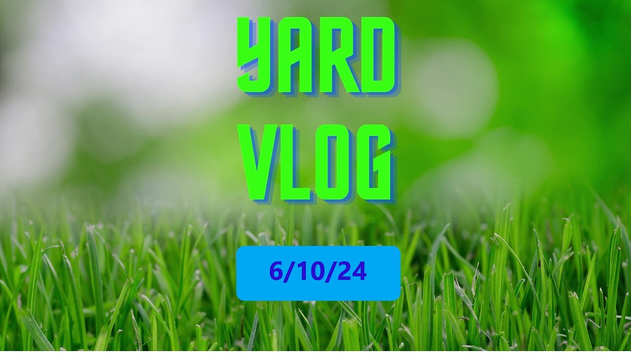 Yard Vlog 6/10/24