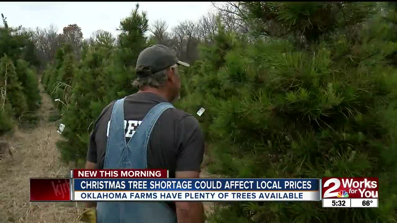 Christmas tree shortage affecting what you pay