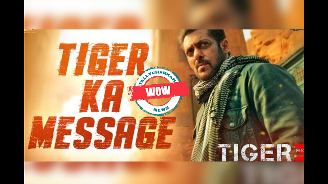 TIGER KA MESSAGE SONG || SALMAN KHAN @KING SALMAN KHAN
