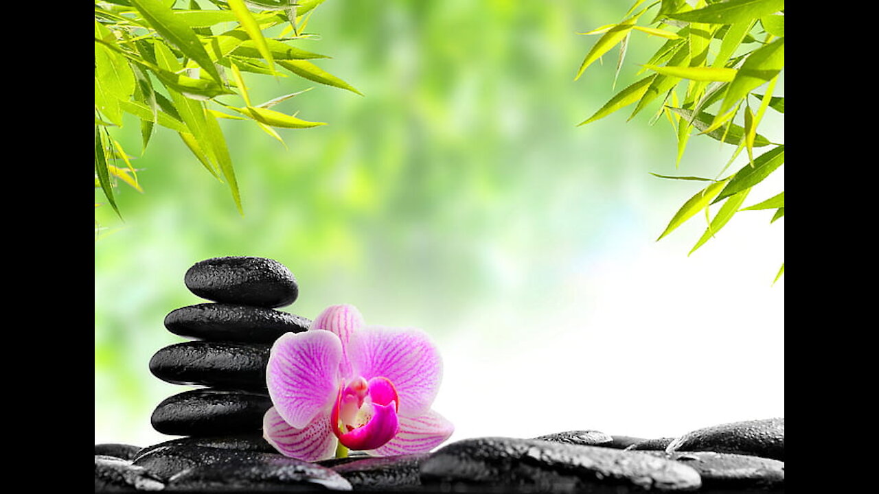 nature heals your mind | nature heals your mind relaxing | nature heals your mind pain | nature heal