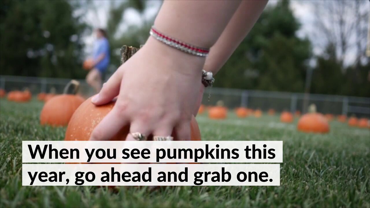 2021 Has Been a Perfect Storm for a Pumpkin Shortage