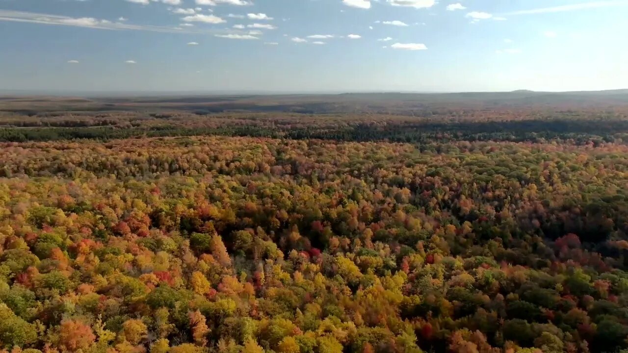 Drone Timelapse of PA Wilds