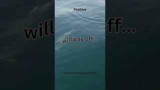 Daily Mindset For Success: Motivation U Can Use Today Pt 45 #shorts #motivation #mindset