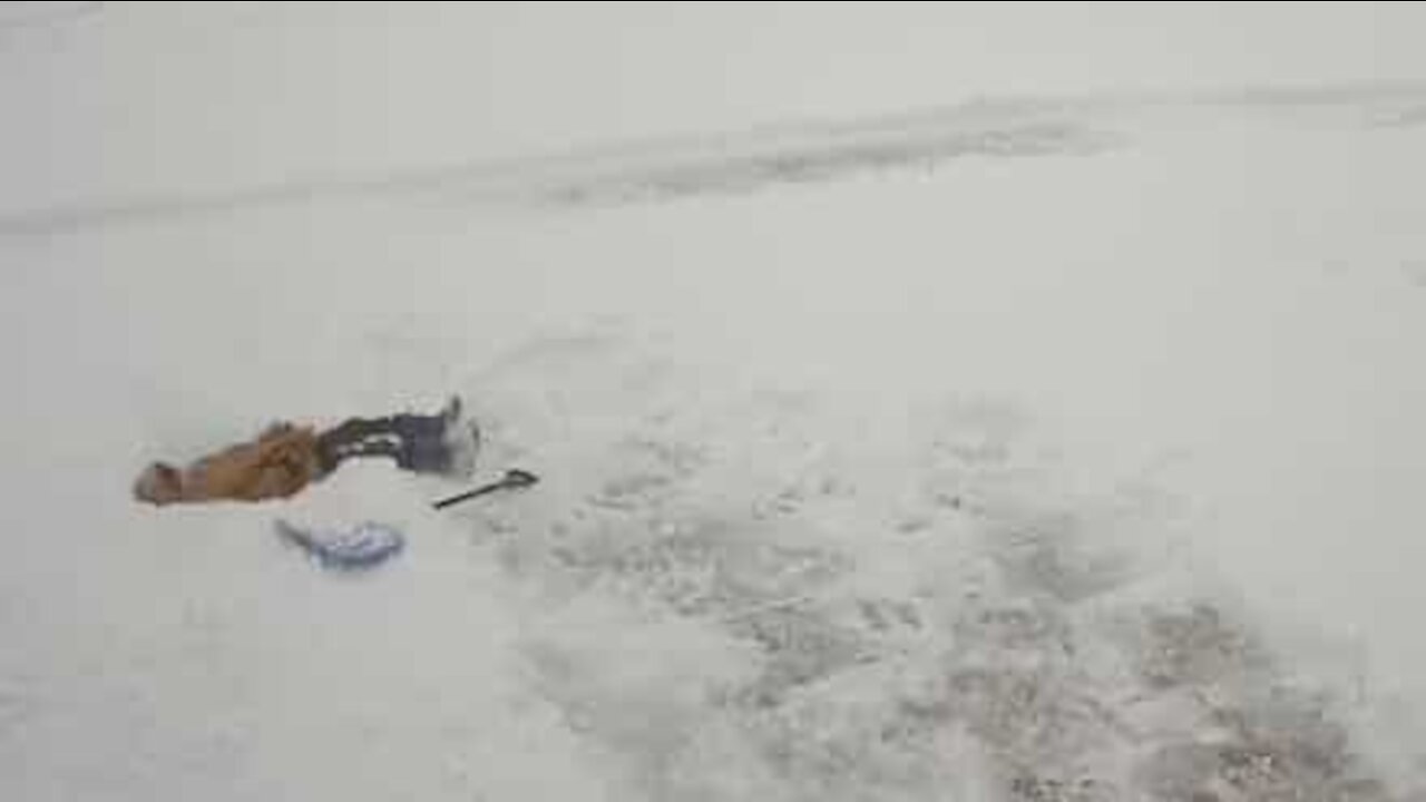 Kid realizes shoveling snow isn't as easy as it looks