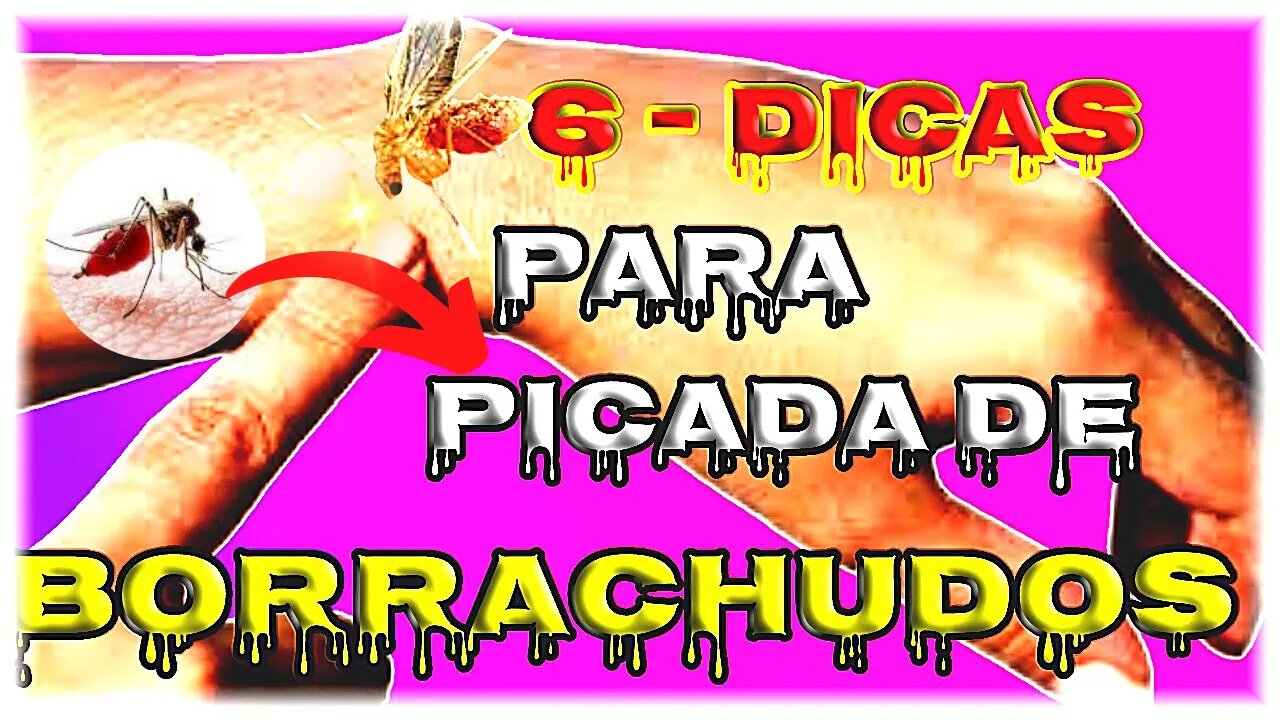 Picada de BORRACHUDO como aliviar 6 DICAS INFALíVEL E BARATA
