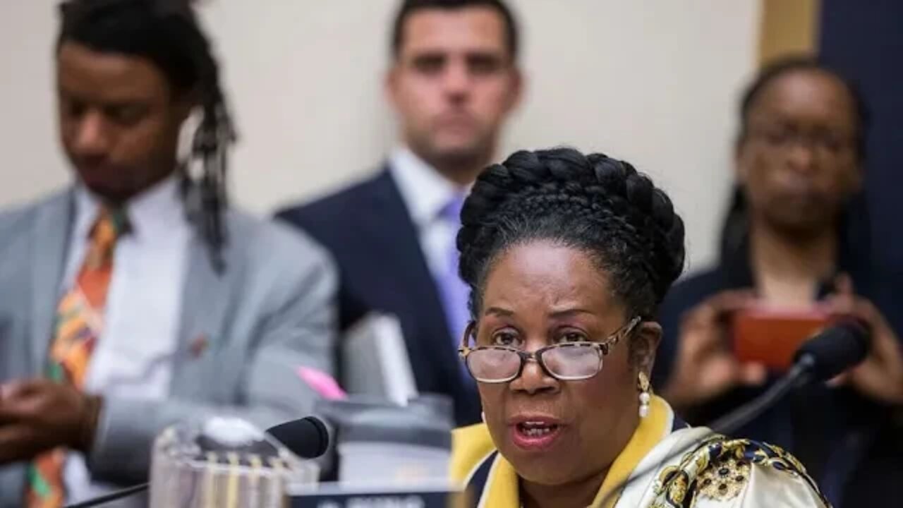 Shelia Jackson Says Reparations Could Have Saved African Americans From Covid 19