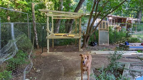 DIY First Time Chicken Coop Build. Part 1