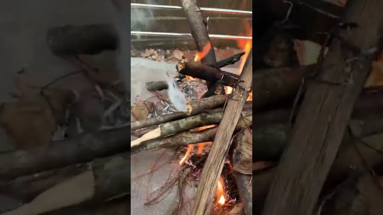 Ever seen wood smoke like this?