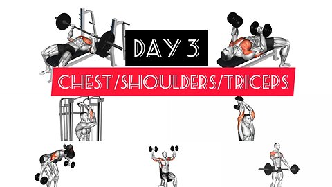 Day 3:Chest/shoulders/triceps