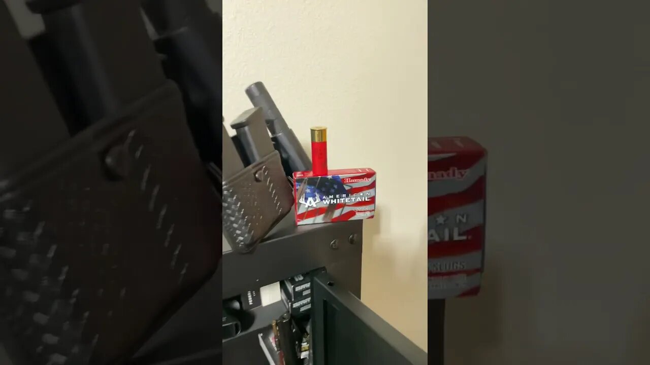 🔥12 GUAGE Bear Gun w/ Slugs #shorts #funny