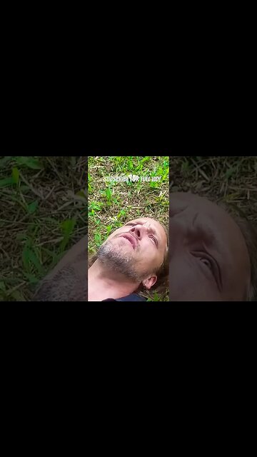 Yopo Experience #yopo #huilca #plantmedicine