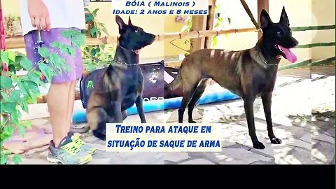 SIMULANDO SAQUE DE ARMA COM TREINADOR ISAAC