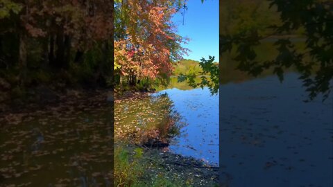 Beautiful Colors on the Autumn Lake | Colorful Bridge | Pamela Storch