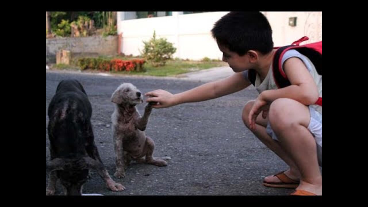 His Son Would Disappear Every Day On A Walk When This Father Followed Him He Was Heartbroken