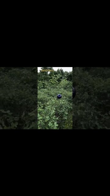 Scary Moments Caught On Camera #scary #haunted