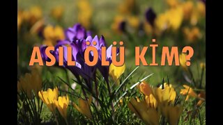 #menkıbe EN GÜZEL MENKIBELERDEN BİR BÖLÜM / "ASIL ÖLÜ KİM?"