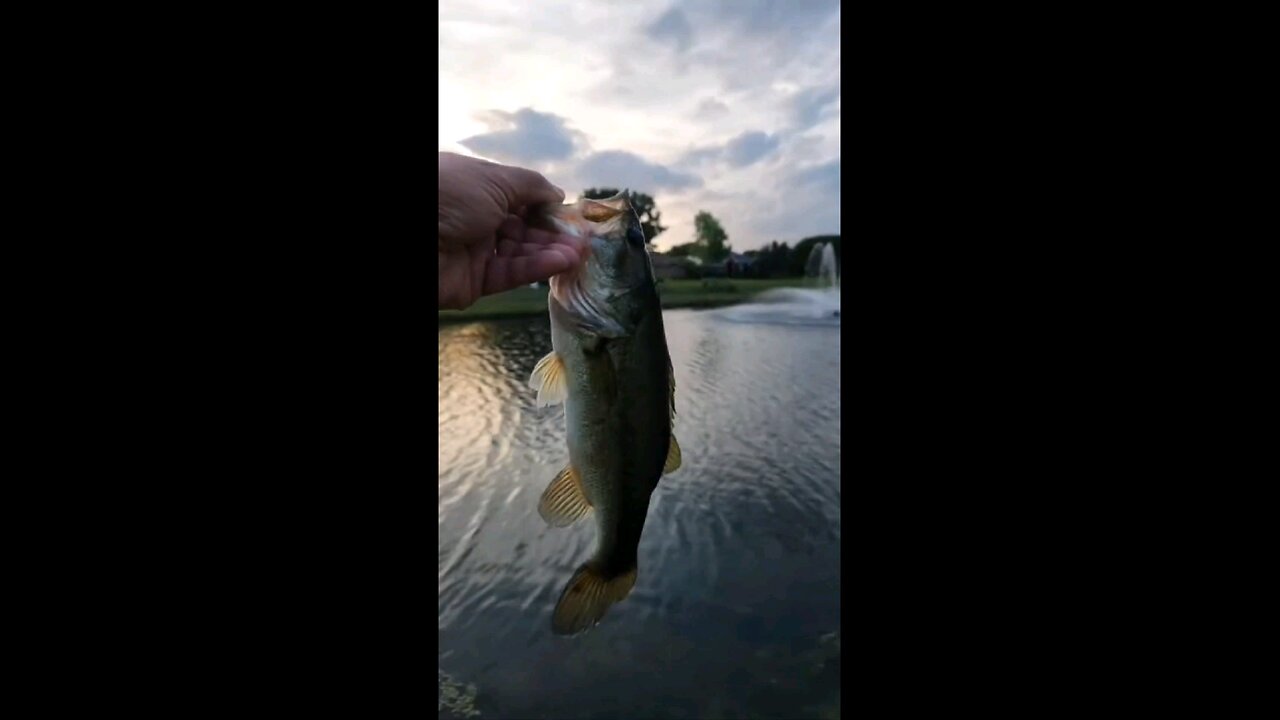 1 or 2 Treble Hooks? 3D Printed Popper #fishing #ultralightfishing #3D