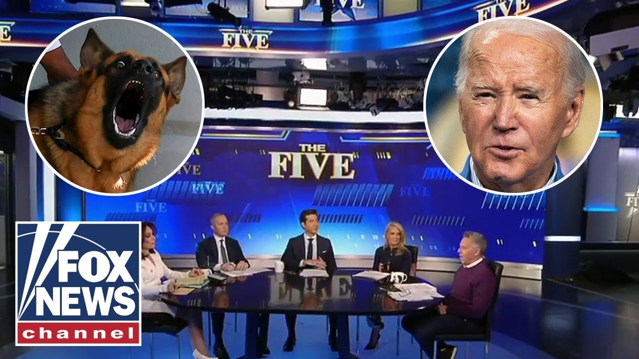 'The Five' reacts to Biden giving away his dog after 24 bites