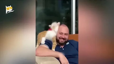 1 Hour of Funniest Animals 2023 Funniest Cats and Dogs 😹🐶