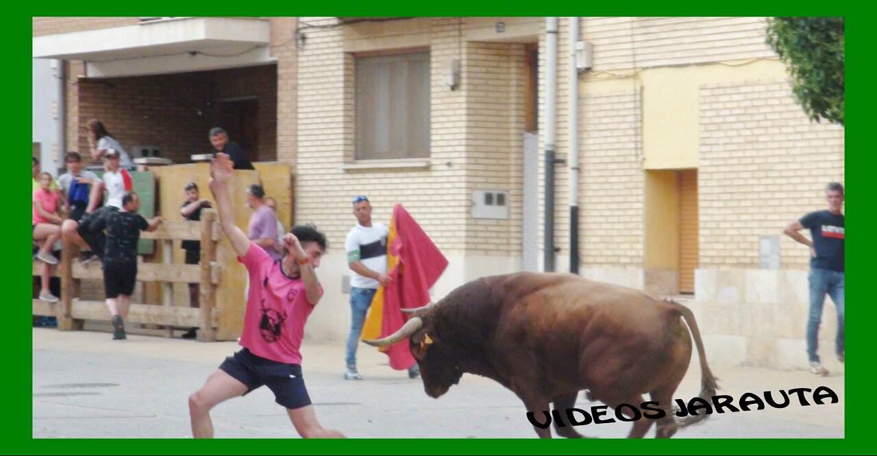 ARGUEDAS ( NAVARRA ) TARDE VACAS EN CALLE ( DOMINGO 15 MAYO 2022 ) JUAN JOSE LAPARTE