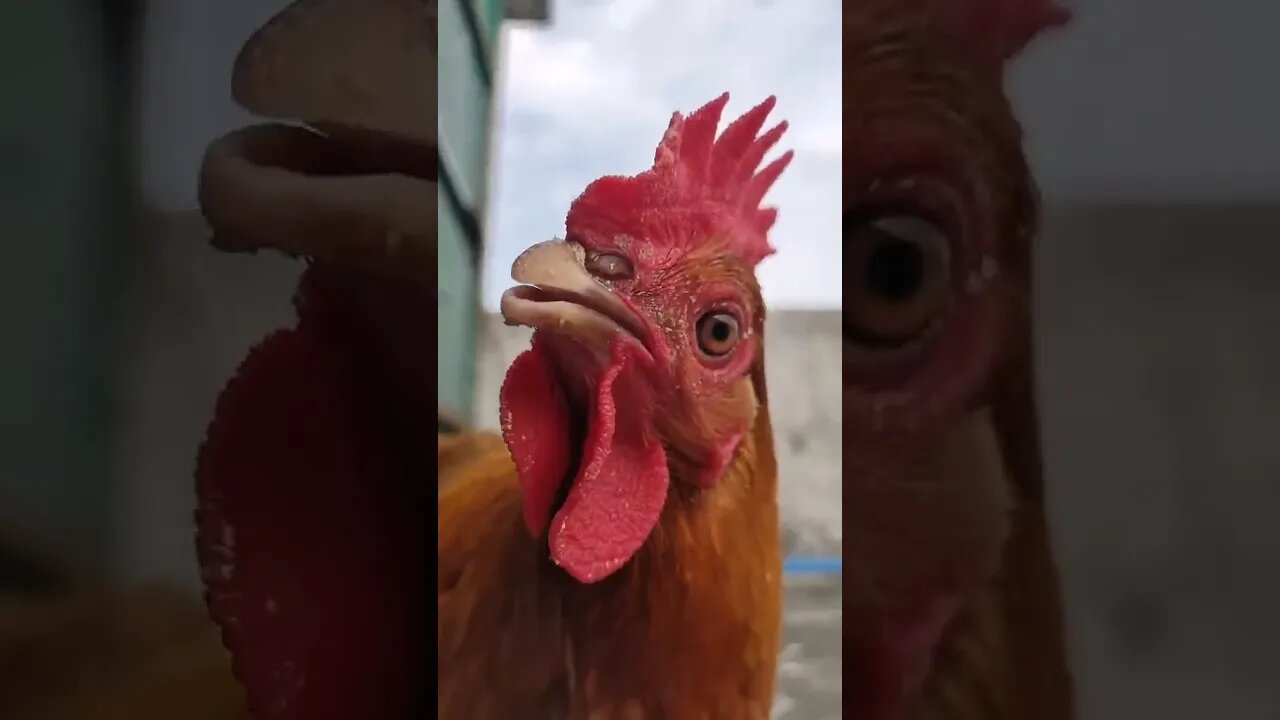 __ Viral Video Viral _ #amazing #explore #explorepage #experiment