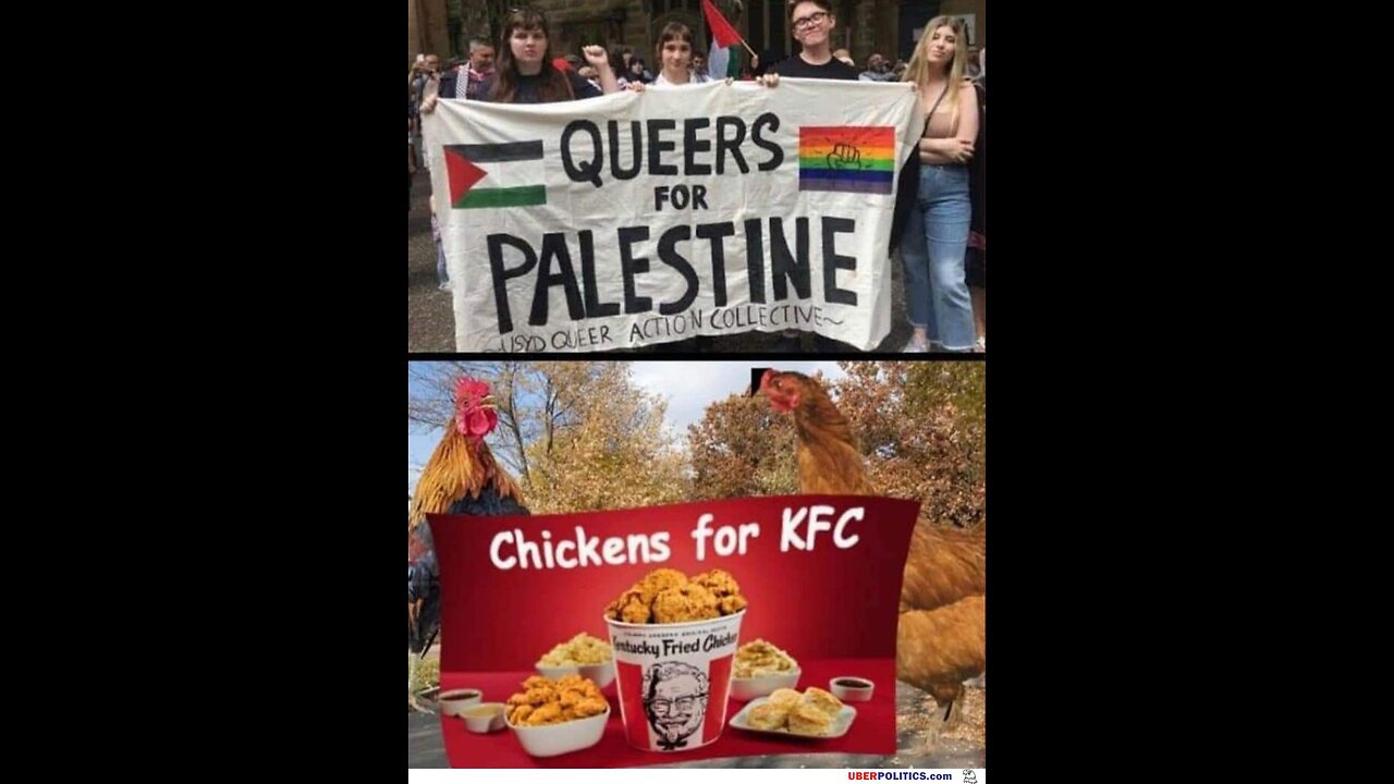 Queers for Palestine? WTF?