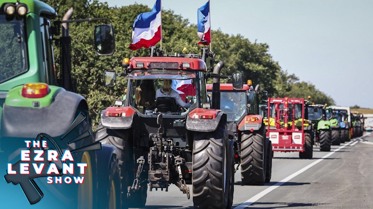 The Post Millennial's Katie Daviscourt discusses the Farmer Rebellion live from the Netherlands