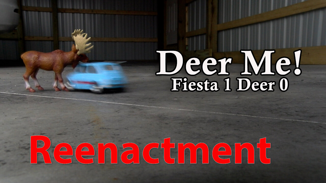 Deer Me! Deer Versus Ford Fiesta