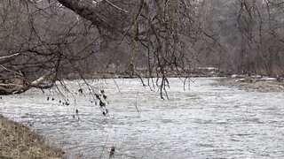 Humber River flowing