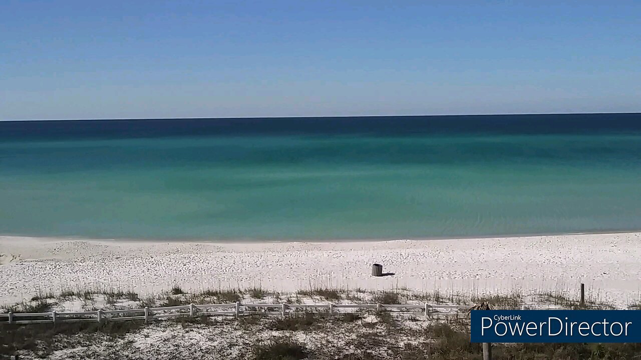 Live From The Beach Trust The Process