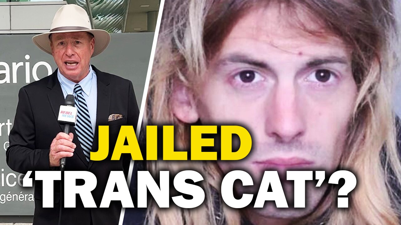 Trans woman allegedly identifying as a cat to stand trial on multiple charges