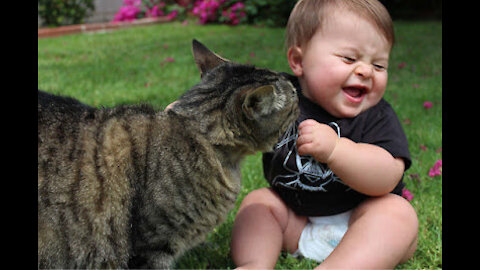 How Cute Baby Fun with cats