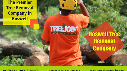 Rowell Tree Removal Emergency Service