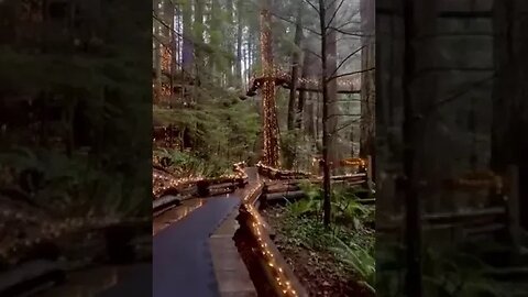 #enchanted