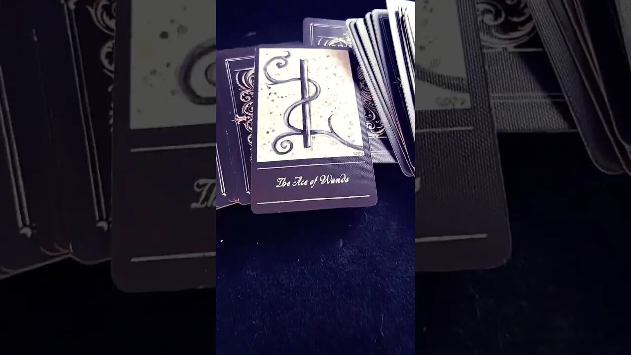 Weekly tarot reading || Collective Energy 💥 #weeklytarotreading #tarotreadersofyoutube