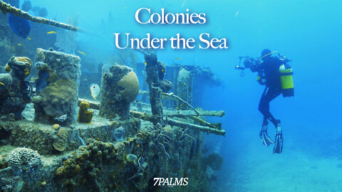 Colonies Under the Sea | Epoch Cinema