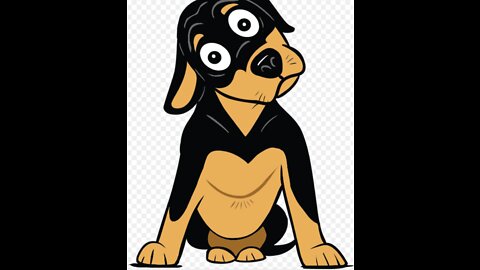 25 Bizzare Dog Facts You Need To Know