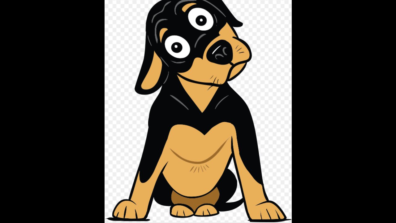 25 Bizzare Dog Facts You Need To Know