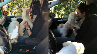 Emotional reunion of the dogs with their human mom and baby sister.