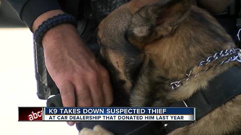 Car dealership's gifted K9 tracks down car thief