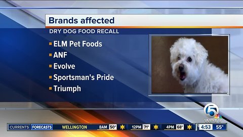 9 dry dog food brands recalled