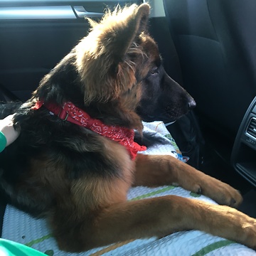 Monday mornings be like...