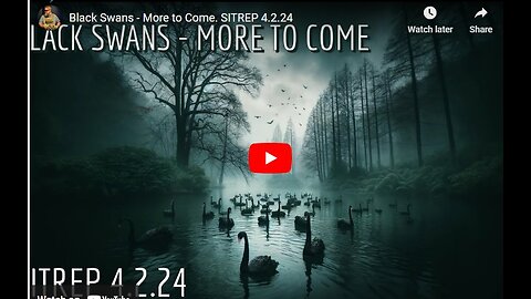 Black Swans - More to Come. SITREP 4.2.24