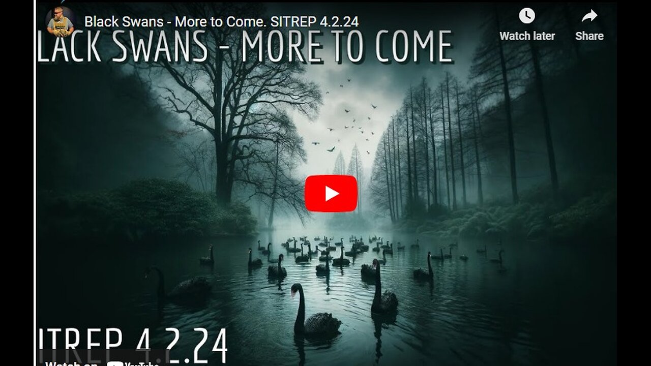 Black Swans - More to Come. SITREP 4.2.24