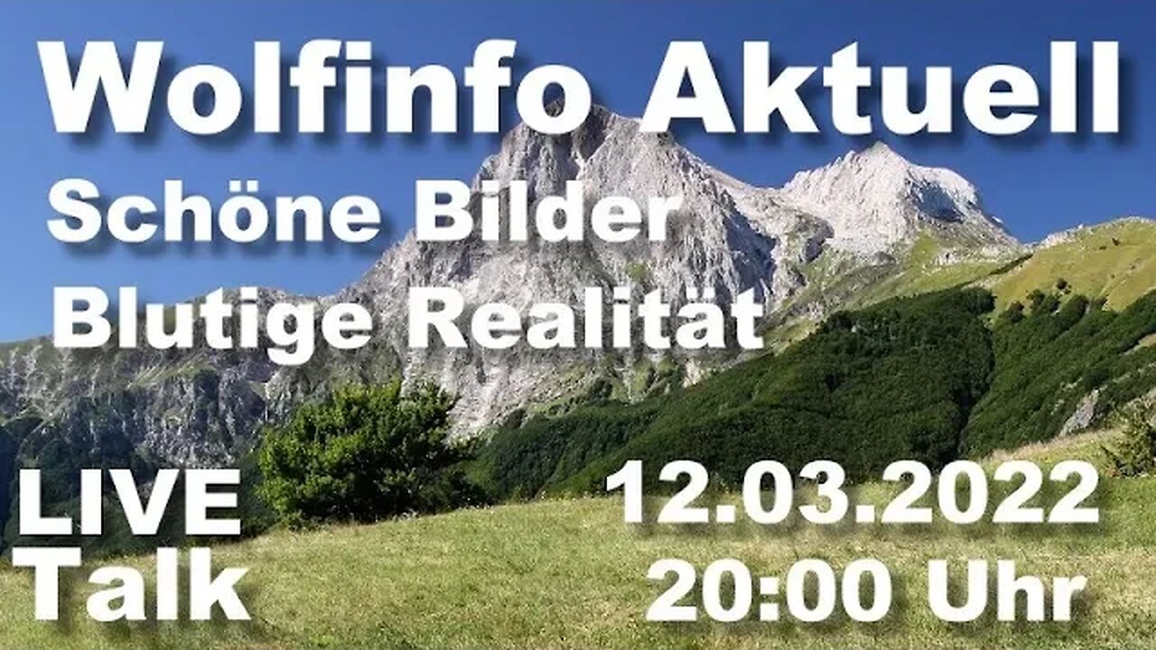 Wolfinfo Aktuell LIVE Talk 20 ( Schöne Bilder / Blutige Realität )