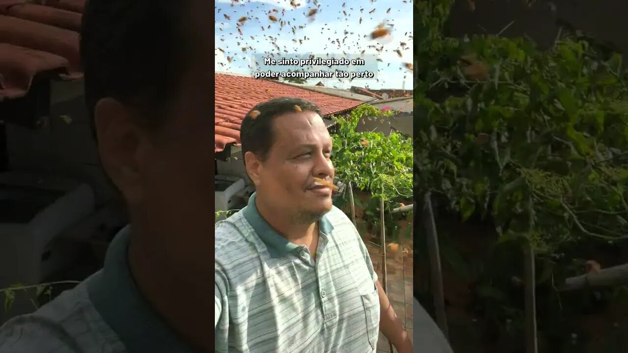 Milhares de ABELHAS estão voando na minha casa 🐝😲 #Shorts